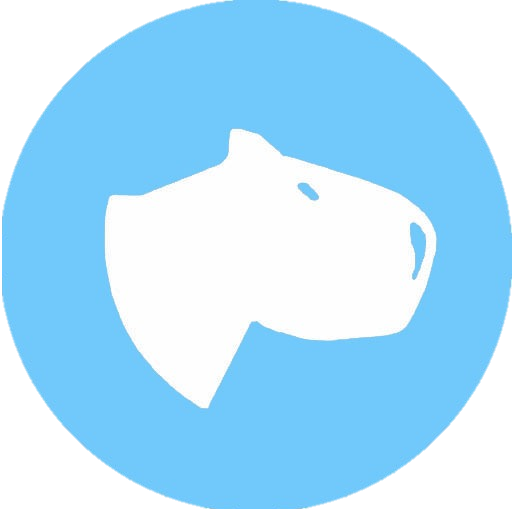 CarpinchoSoft